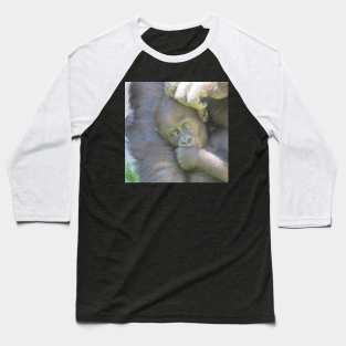 Western Lowland Gorilla Baseball T-Shirt